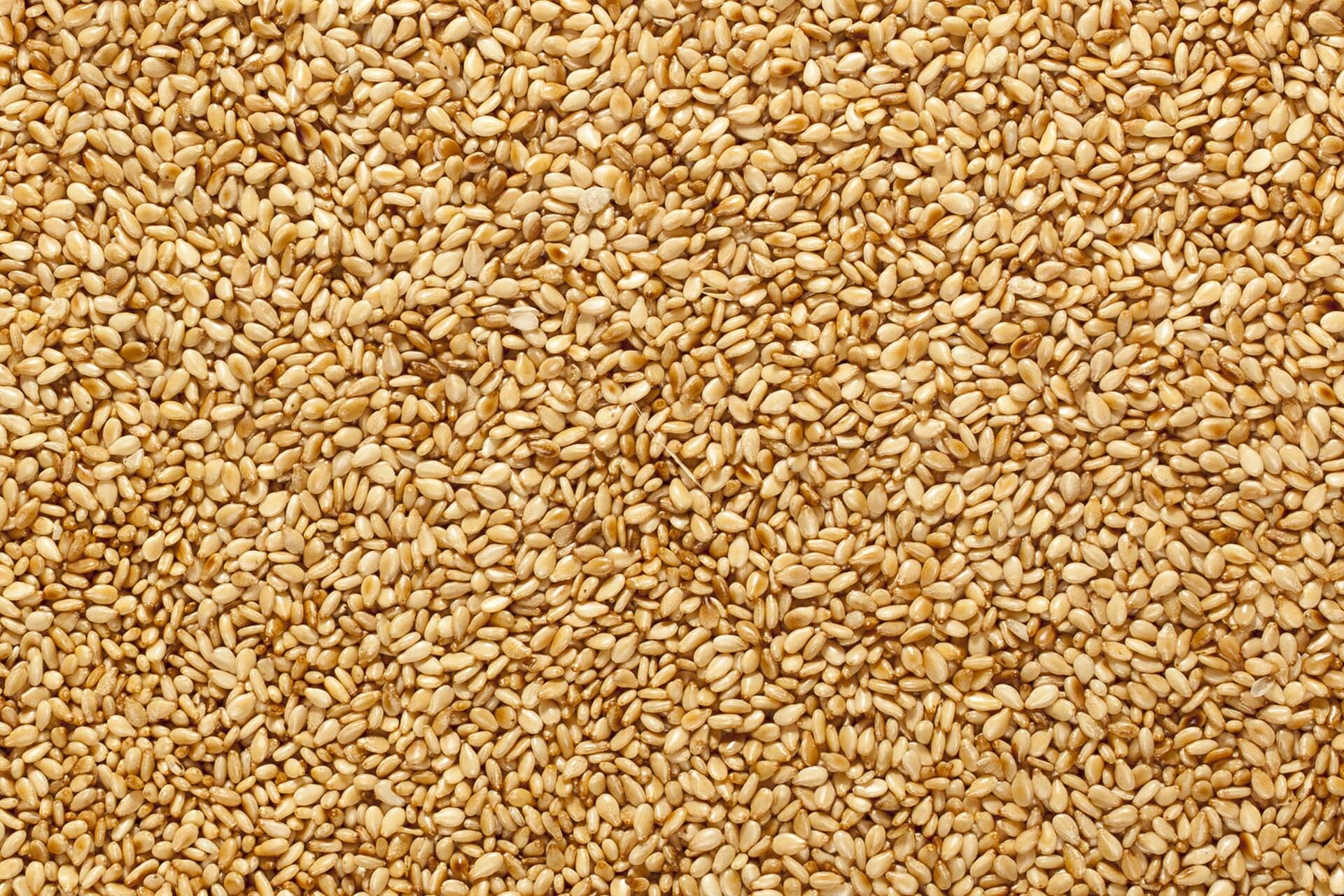 Close-up of golden sesame seeds